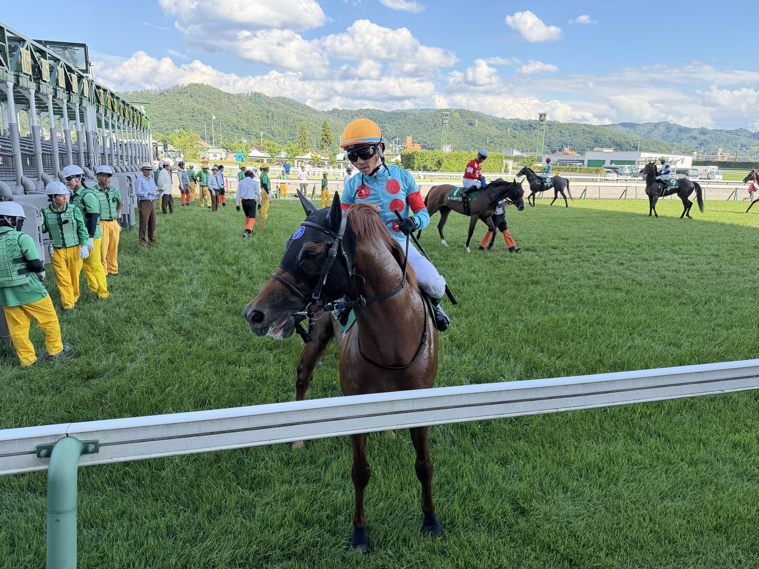 競走馬