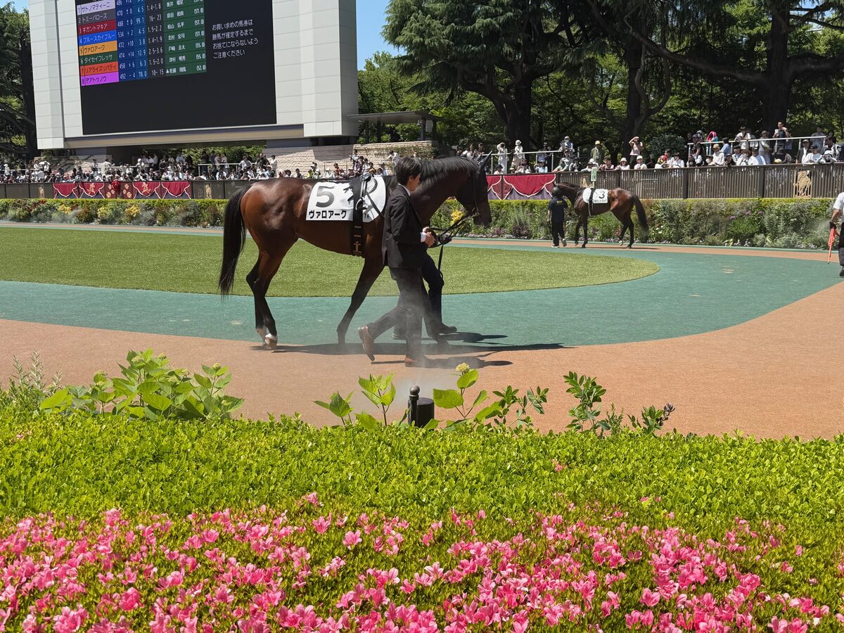 レースの記録